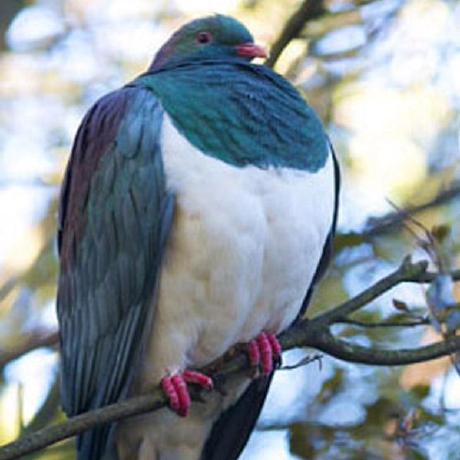 H2o Github - Best Gradient Designs in HD