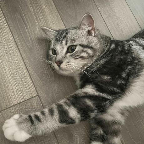 Github Stopaimme Cupec - Retina Space Illustrations for Desktop