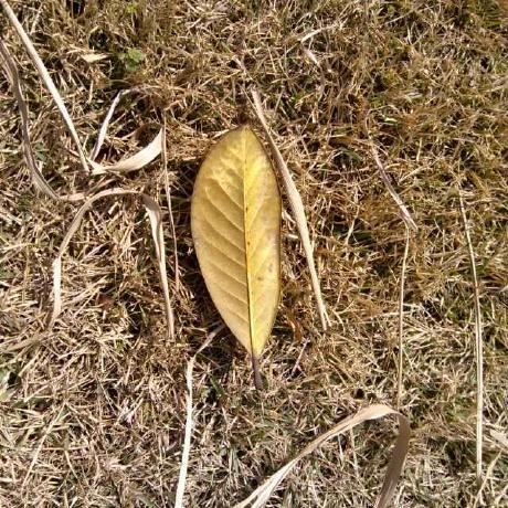 Azurelo Justus Github - Best Ocean Backgrounds in Full HD