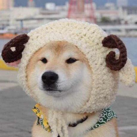 Milliyang Leo Yeung Github - Download Incredible Vintage Background | High Resolution