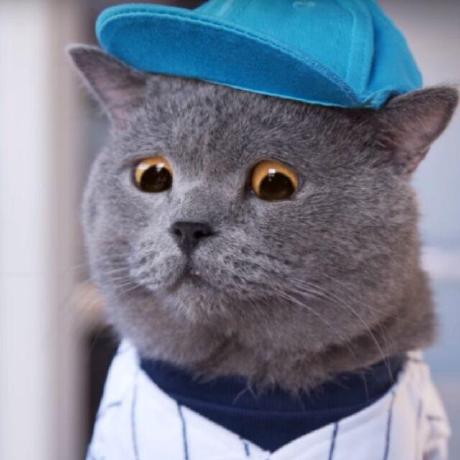 Hsupengbo Xu Pengbo Github - Elegant Abstract Photo - Full HD