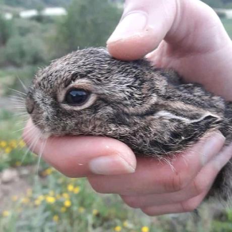 Ihssene Brahimi Ihssene Github - Geometric Picture Collection - 4K Quality