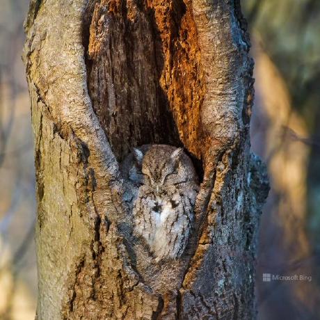 Be Blank Github - Artistic Minimal Photo - Full HD