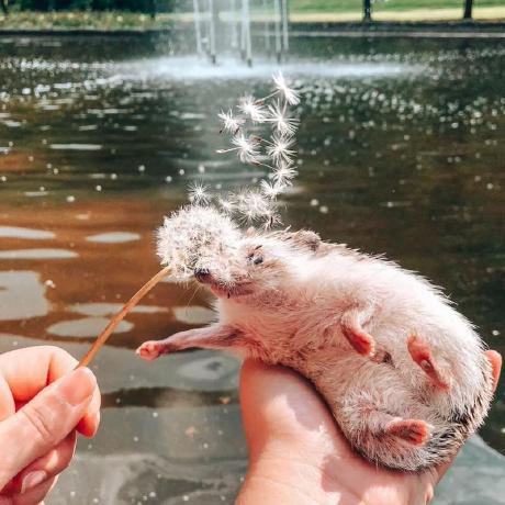 Withwenyi Wenyi Github - Ocean Illustrations - Creative Full HD Collection