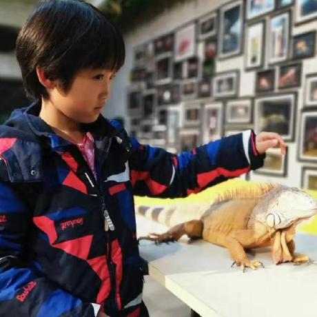 Nan Sal Nan Sal Github - Beautiful Dark Texture - Desktop