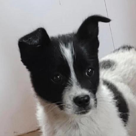 Github Chumoew Zeno - Space Art Collection - 8K Quality