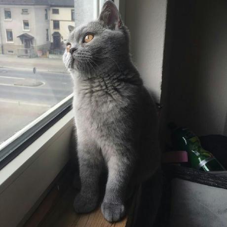 Aadyayaya Aadya S Github - Abstract Background Collection - 4K Quality