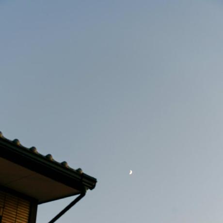 Alvan Github - Best Sunset Photos in Desktop