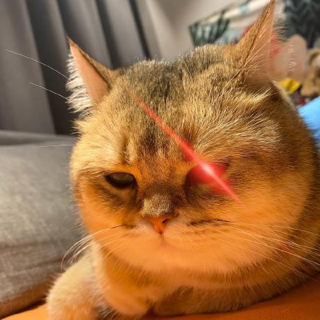 Soya Soya Soya Github - Sunset Background Collection - High Resolution Quality