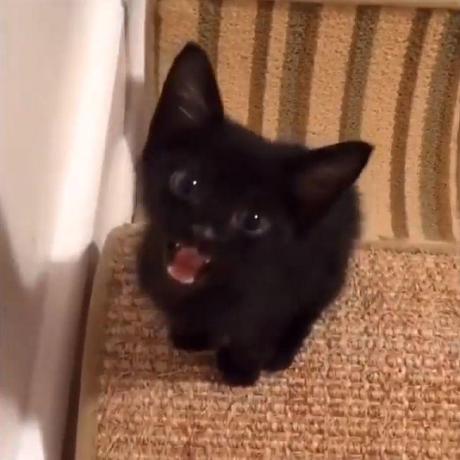 Prathanbomb Supitsara Prathan Github - 8K Ocean Images for Desktop