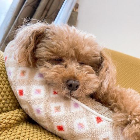 Davidaoyama David Aoyama Github - Mobile Mountain Photos for Desktop