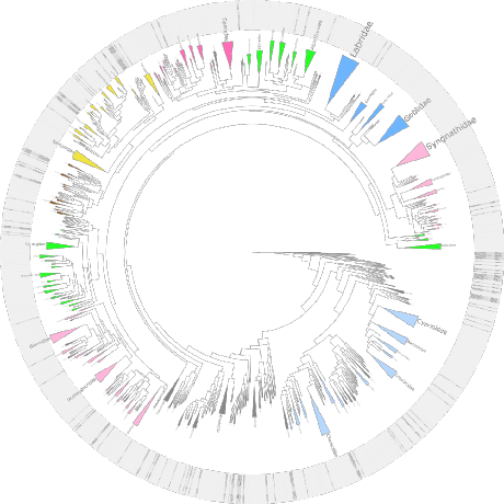 Github Anetaporebska Evolutiongenerator Project Implemented During - Light Images - Beautiful 8K Collection