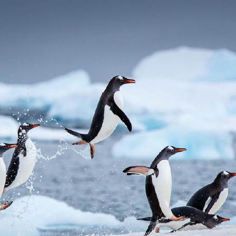 Tweddielin Eddie Lin Github - Space Art Collection - High Resolution Quality