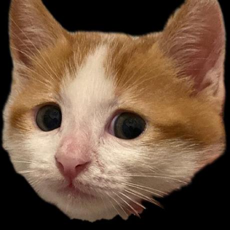 Cansualtun Cansu Github - 8K Light Wallpapers for Desktop