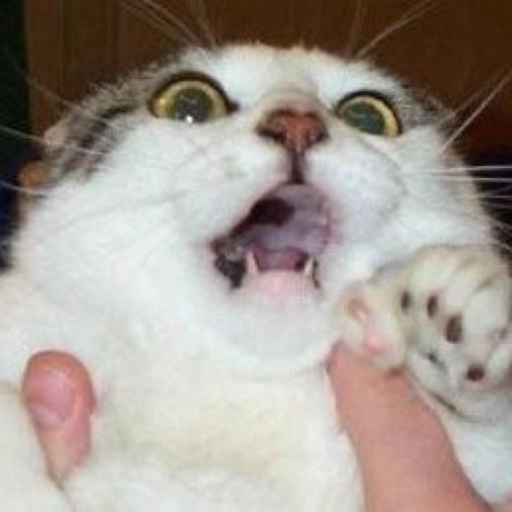 Fenoxo Github - Elegant Geometric Pattern - 8K