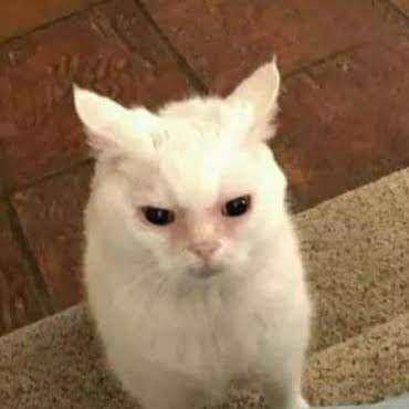 Anca Mt Anca Matei Github - Best Space Pictures in Desktop