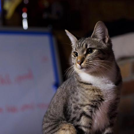 Yang Wenlong Github - Full HD Space Illustrations for Desktop