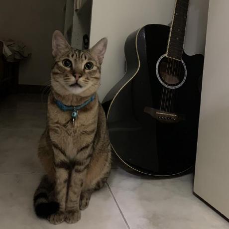 Alan Cheng Alan Cheng Github - Premium Light Photo Gallery - Mobile