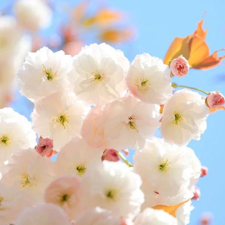 Lhj Lhj Hongjia Github - Amazing HD Ocean Arts | Free Download