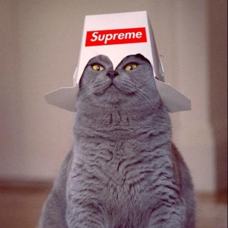 Github Matto58 Batchos A Home To Batchos - 4K Mountain Arts for Desktop