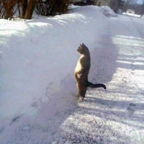 Github Dopamine Joker Dopamine Joker Github Io My Hexo Blog - Classic Mobile Space Photos | Free Download