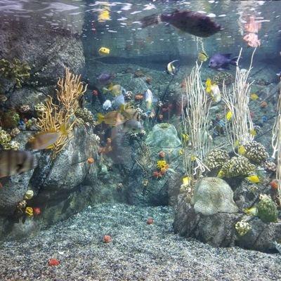 Raynor Github - Dark Illustrations - Stunning Full HD Collection