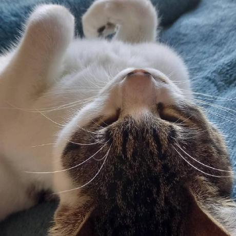 Github Kkawailab Ryoto - Sunset Arts - Incredible Full HD Collection