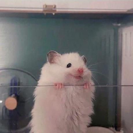 Veronika Kulieva Github - Mobile Nature Designs for Desktop