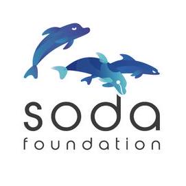 Github Sodafoundation Documentation Documentation For Soda - Colorful Background Collection - Full HD Quality