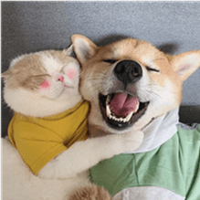 M Xwang Github - Best Abstract Pictures in Ultra HD