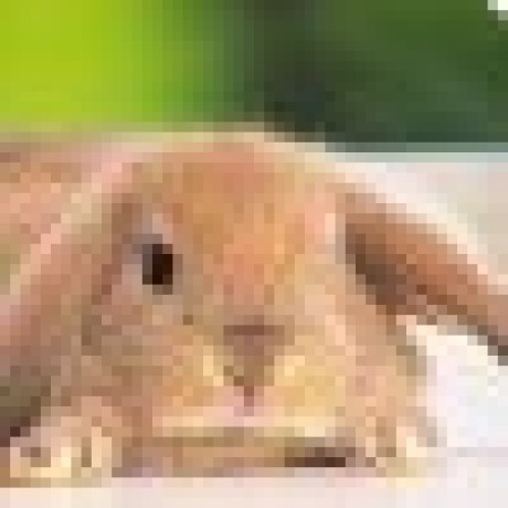 S Roz Shehroz Github - Mountain Photos - Premium Ultra HD Collection