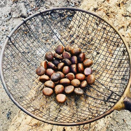 World Forest Github - Gorgeous Gradient Pattern - Mobile