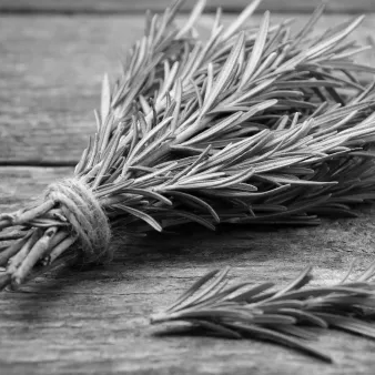 Releases Mashed Potatoes Potatonv Github - Download Professional Light Picture | 4K