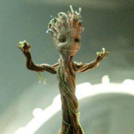 1botanica1 Botanica Github - Best Vintage Photos in Full HD