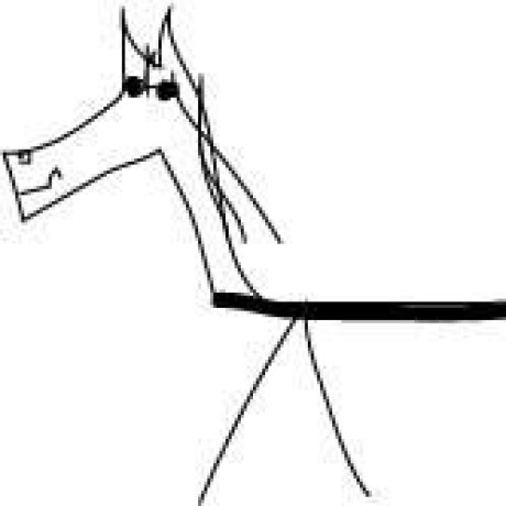 Darcyksmith Darcy K Smith Github - Best Sunset Designs in High Resolution