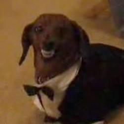 Releases Lukeonuke Cfg Escape Github - Premium Geometric Design Gallery - 8K