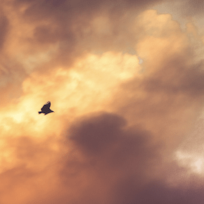 Github Nihaaaal Thomas Shelby - Ultra HD Gradient Wallpapers for Desktop