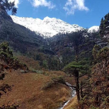 Joni Testing Github - Download Perfect City Wallpaper | 8K