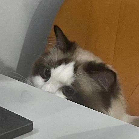 Gevtolev Dongyu Li Github - Nature Wallpapers - Creative 4K Collection