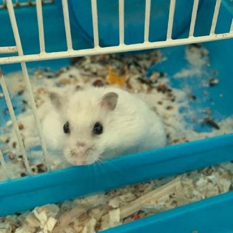 Github Llz Lian Server Iouring - Artistic Light Wallpaper - Mobile