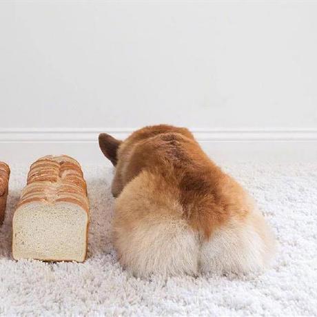 Wt159 Wtp Github - Download Ultra HD Sunset Design | Desktop