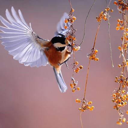 Actions Joshuap233 Operating Systems Three Easy Pieces Notes Github - Beautiful Desktop Sunset Images | Free Download