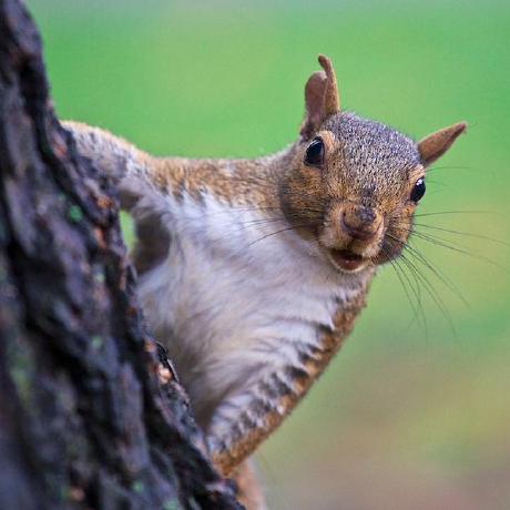 Github Rigred Spd Hacking Ddr Memory Serial Presence Detect - Incredible 4K Abstract Photos | Free Download