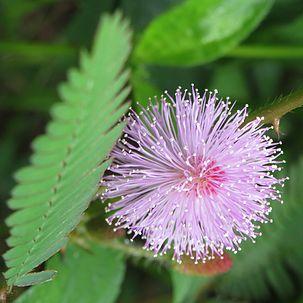 Github Wr786 Key To Pkupc A - Beautiful Light Art - HD