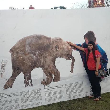 Wut Yee Thin Github - Sunset Design Collection - Ultra HD Quality