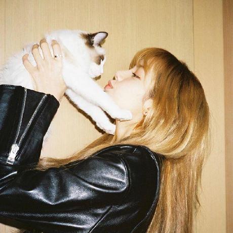 Github Nota97 Reggietakeout - Elegant Retina Dark Photos | Free Download