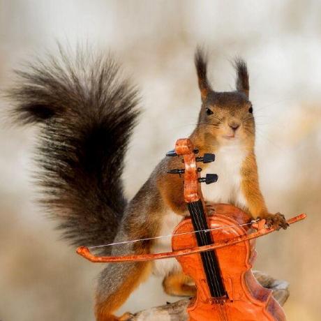 Yang Qs Qiaoshi Yang Github - Download Creative Abstract Illustration | 8K