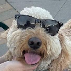 Ajbdev Andy Baird Github - Modern City Background - Desktop