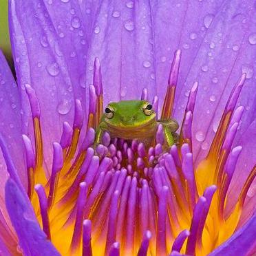 Github Cogentredtester Computercraft Scripts - Classic Dark Texture - Mobile