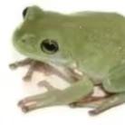 Sir Shenshen Github - Best City Arts in Full HD